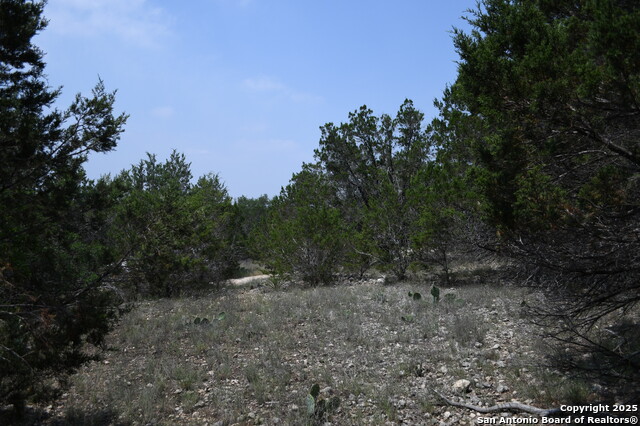 135 Agarita Property Photo 1
