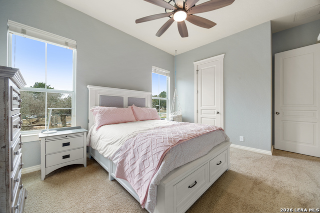 10511 Teich Loop Property Photo 47