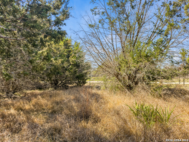 535 Left Fork Place Property Photo 4
