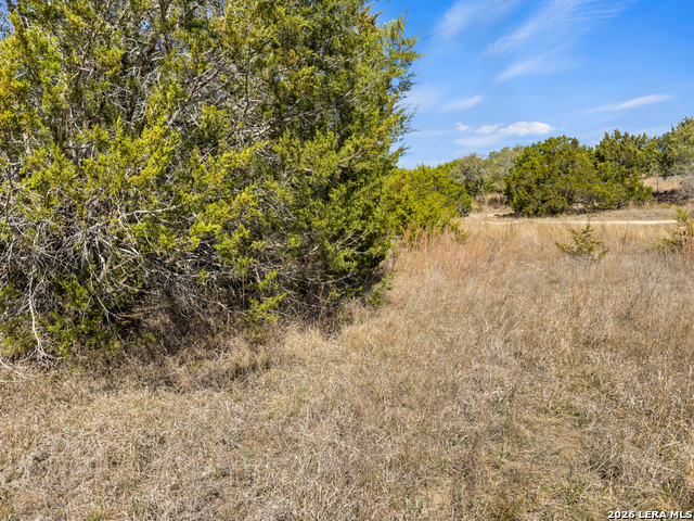 535 Left Fork Place Property Photo 5