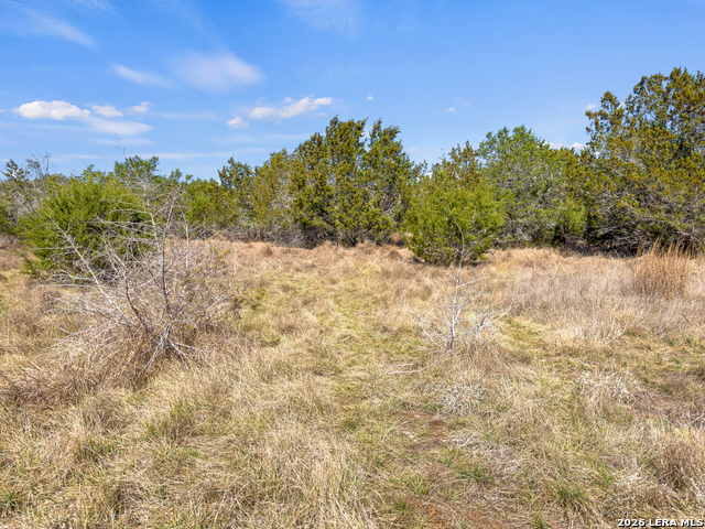 535 Left Fork Place Property Photo 18