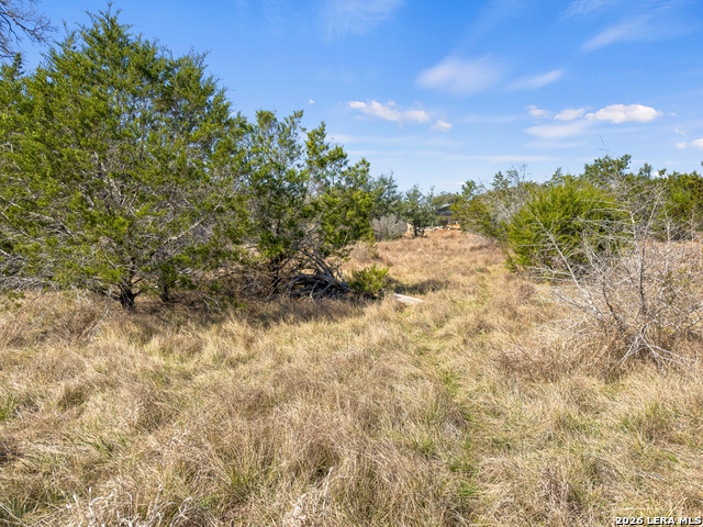 535 Left Fork Place Property Photo 19
