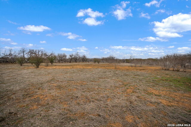 421 Coughran Property Photo 36