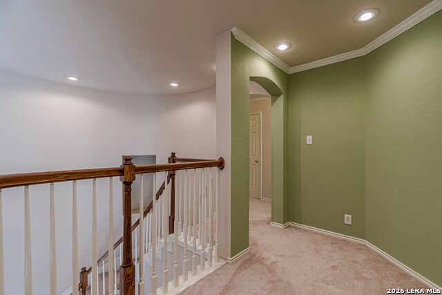 843 Peg Oak Property Photo 33
