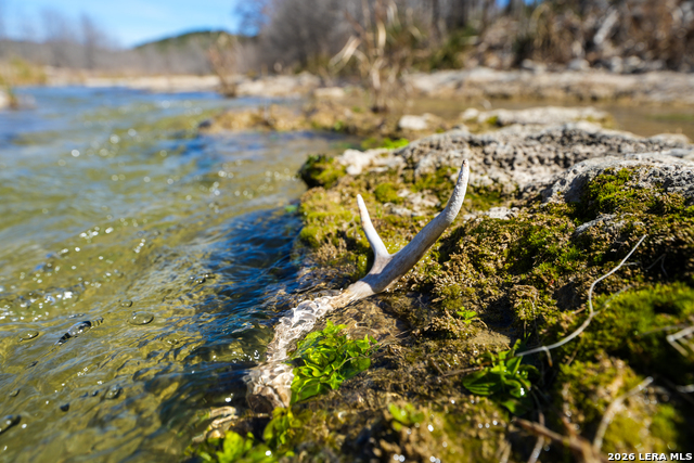 Tr 11 Haley Lane Property Photo 7
