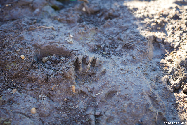 454 Center Point River Property Photo 15