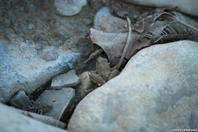 454 Center Point River Property Photo 18