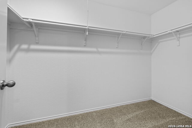 12541 Spoor Vly Property Photo 14