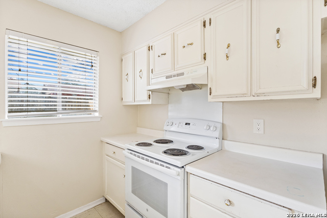 4718 Casa Oro St Property Photo 11