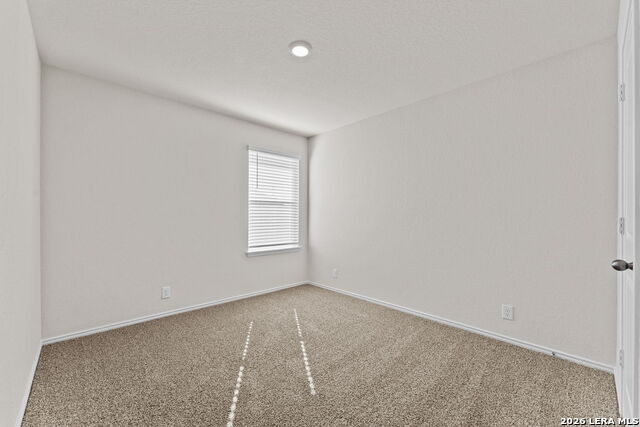 10729 Dazzle Property Photo 9