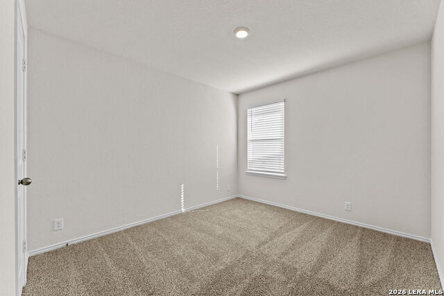 10729 Dazzle Property Photo 11