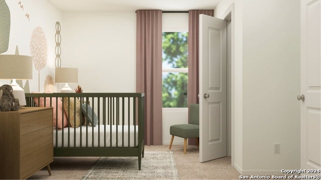 20523 Andalusite Way Property Photo 12