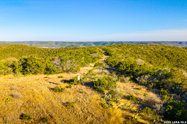 1030 Owl Hollow Property Photo 42