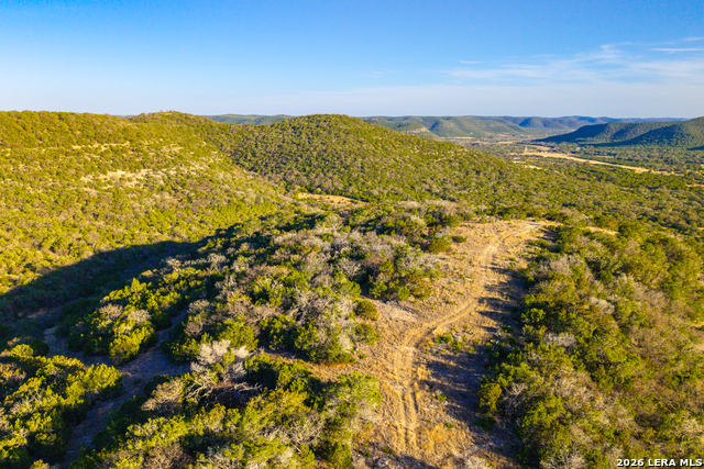 1030 Owl Hollow Property Photo 43