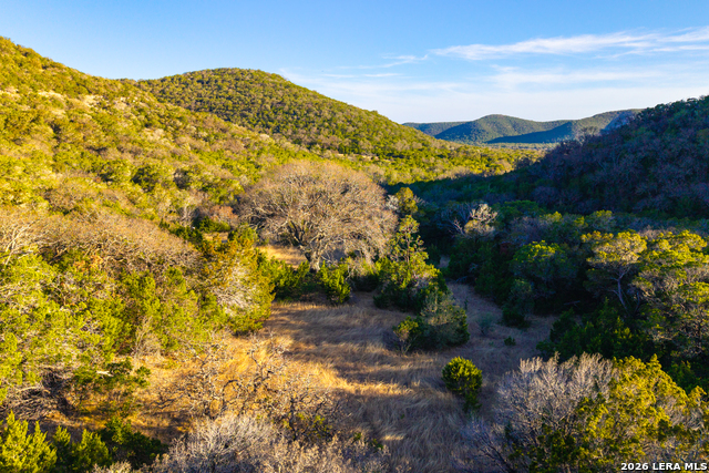 1030 Owl Hollow Property Photo 44