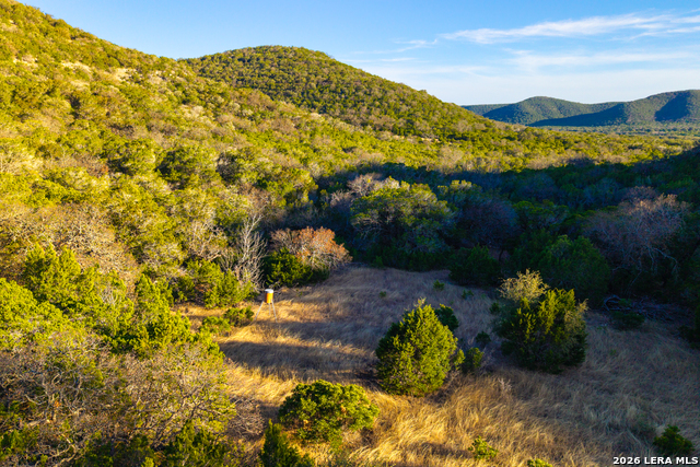 1030 Owl Hollow Property Photo 45