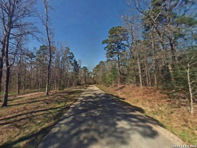Tbd Austin Rd Property Photo 3