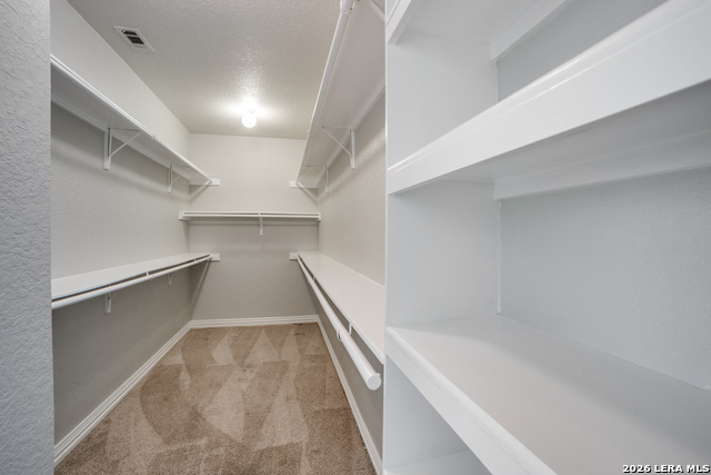 13835 Palatine Hill Property Photo 16