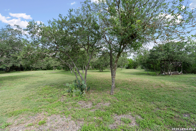 15407 Tamaron Pass Property Photo 32