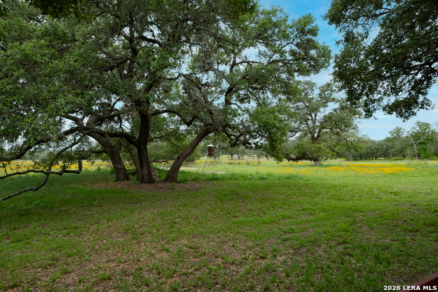 104 Longhorn Rd Property Photo 31