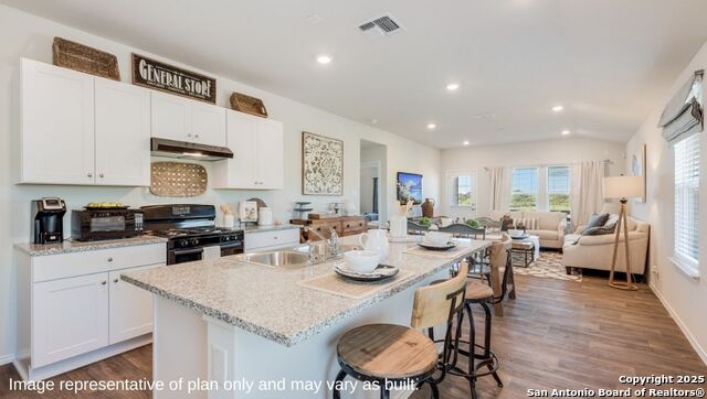 10746 Dazzle Property Photo 6