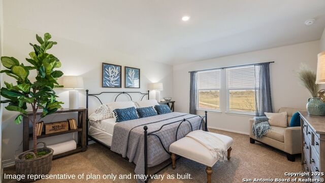 10746 Dazzle Property Photo 12