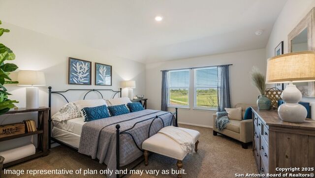 10746 Dazzle Property Photo 13
