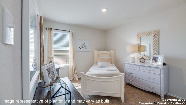10746 Dazzle Property Photo 17