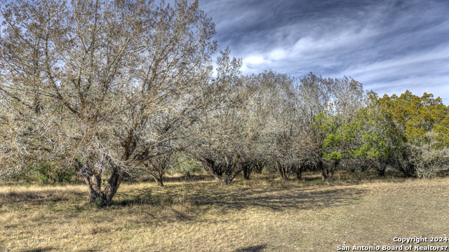 22 Squirrel Bend Property Photo 10