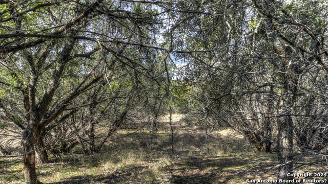 22 Squirrel Bend Property Photo 12