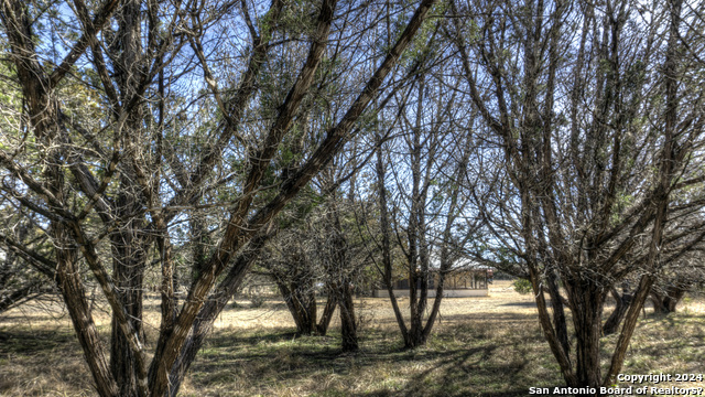 22 Squirrel Bend Property Photo 13
