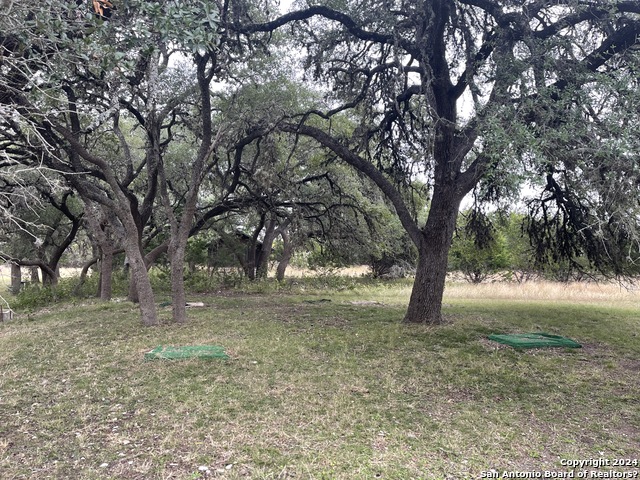 22 Squirrel Bend Property Photo 39