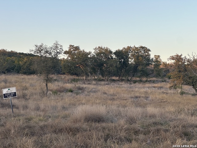 207 Crescent Property Photo 8