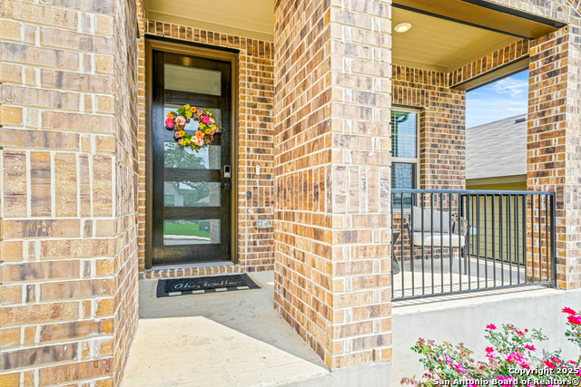 25826 Marigold Oaks Property Photo 4