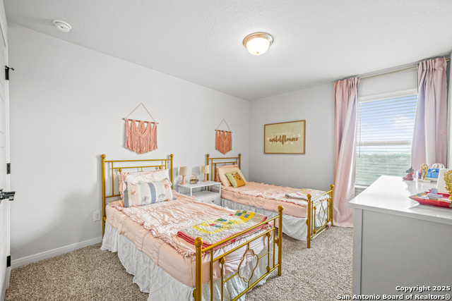 25826 Marigold Oaks Property Photo 39