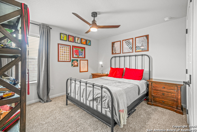 25826 Marigold Oaks Property Photo 41