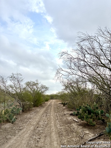 2713 Fm 716 Property Photo 4