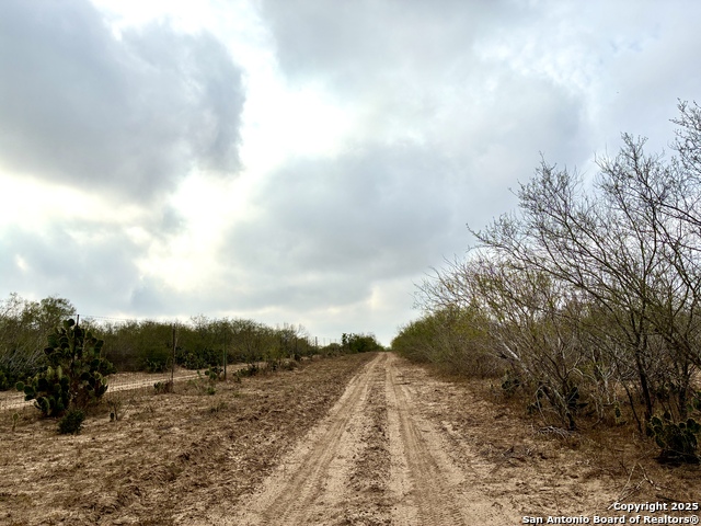 2713 Fm 716 Property Photo 13
