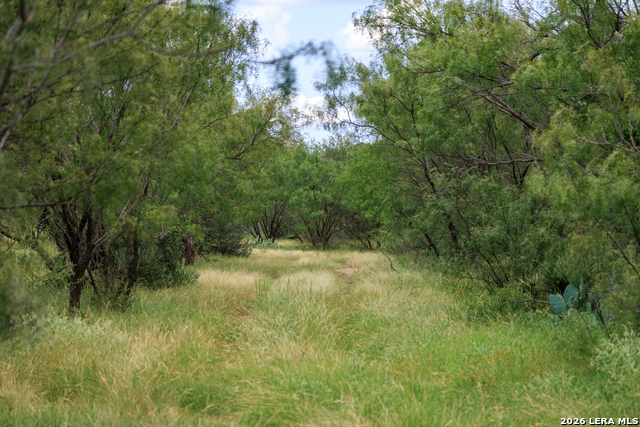 0 Ranch Road 648 Property Photo 5