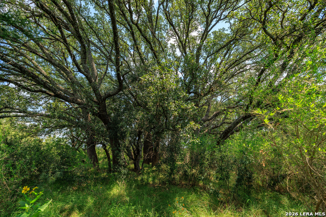 0 Ranch Road 648 Property Photo 9