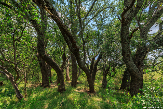 0 Ranch Road 648 Property Photo 10