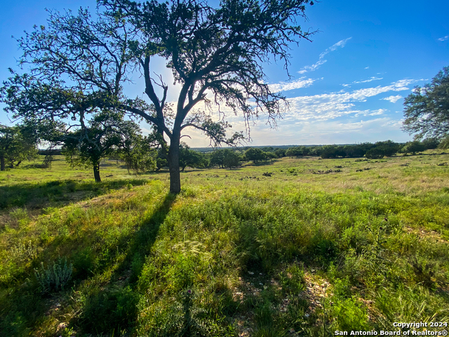 140 Cattlemans Crossing Property Photo 1