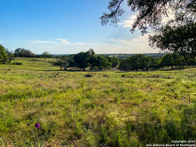 140 Cattlemans Crossing Property Photo 2