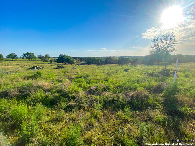 140 Cattlemans Crossing Property Photo 3
