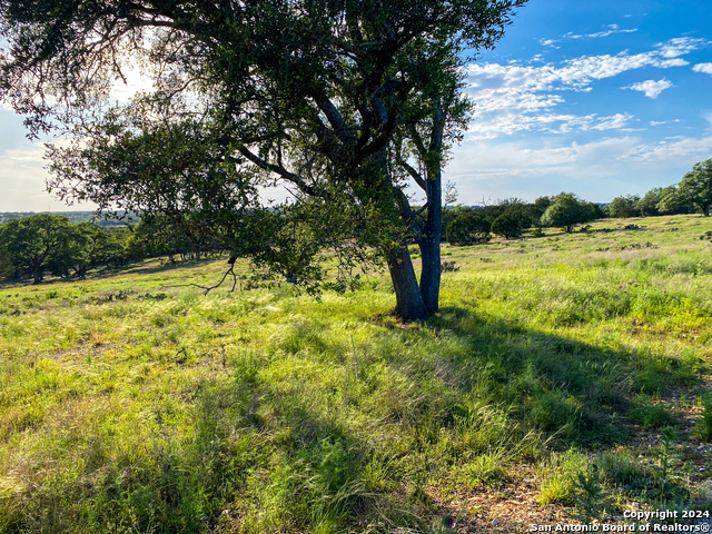 140 Cattlemans Crossing Property Photo 4