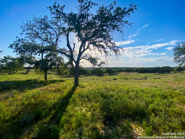 140 Cattlemans Crossing Property Photo 6
