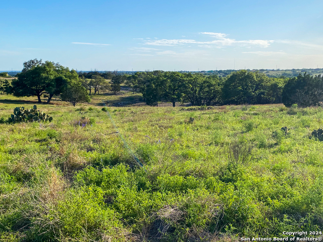 140 Cattlemans Crossing Property Photo 7