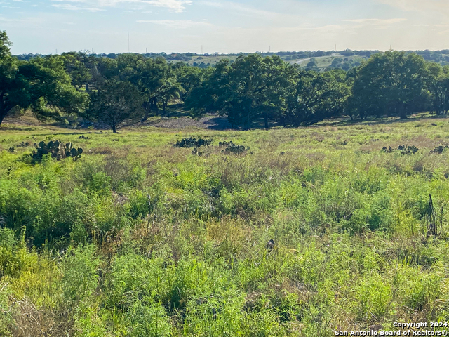 140 Cattlemans Crossing Property Photo 8