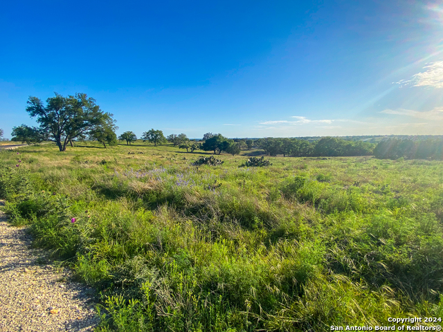 140 Cattlemans Crossing Property Photo 11