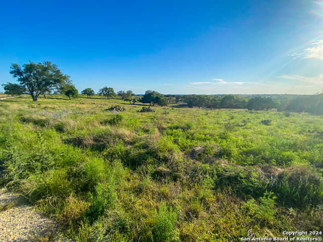 140 Cattlemans Crossing Property Photo 12